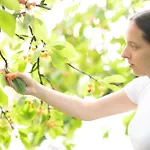 Farm stay Tourist Farm Klevz Slovenj Gradec