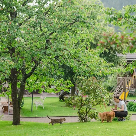Tourist Farm Klevz 슬로벤 그라데츠