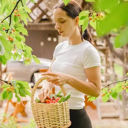 Farm stay Tourist Farm Klevz *