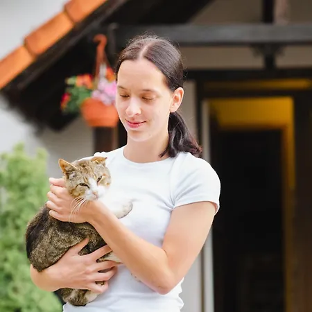 Tourist Farm Klevz Farm stay Slovenj Gradec